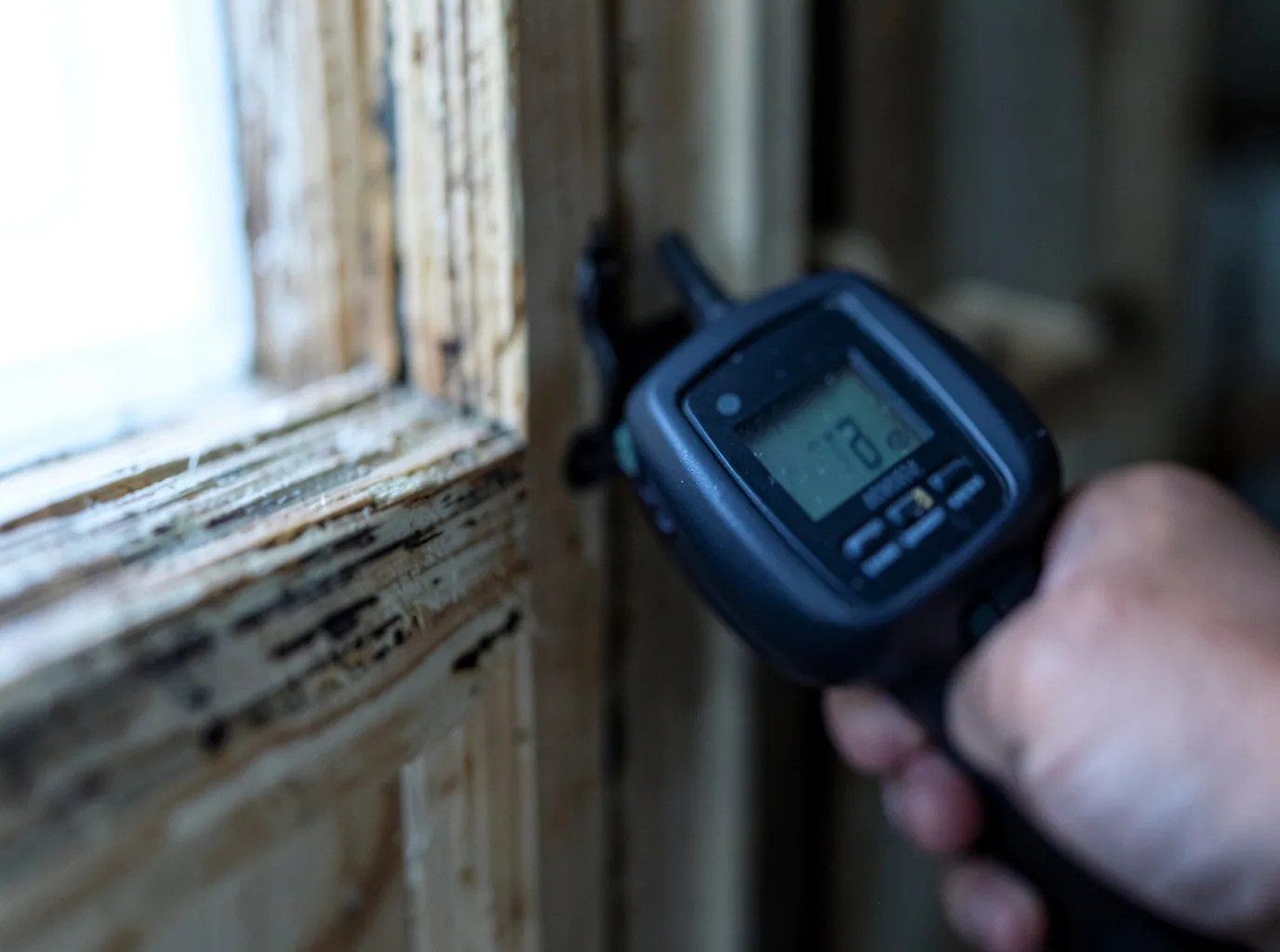 Moisture Inspection And Documentation in Guerra, TX